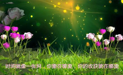 热门小说优质全章江锦心睿王睿王江锦心全文免费阅读