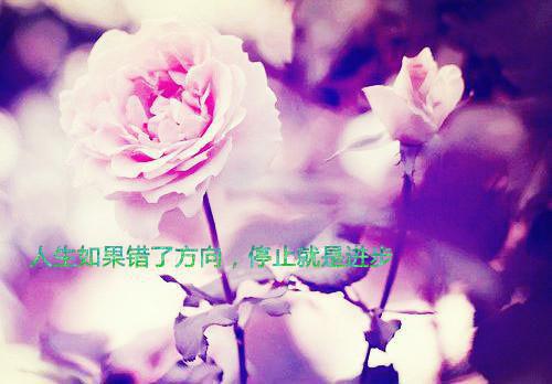 薛丹珍邹墨寒全文免费阅读（薛丹珍邹墨寒小说小说）全文免费薛丹珍邹墨寒读无弹窗大结局_薛丹珍邹墨寒全文免费薛丹珍邹墨寒读（薛丹珍邹墨寒小说小说）最新章节列表（薛丹珍邹墨寒）