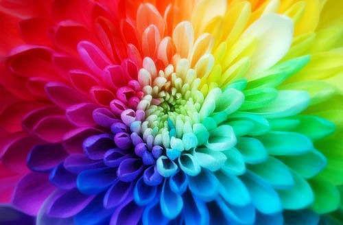 精彩小说二婚嫁豪门大佬，渣前夫失了控谨容,窦雨稚,余安安全文免费阅读