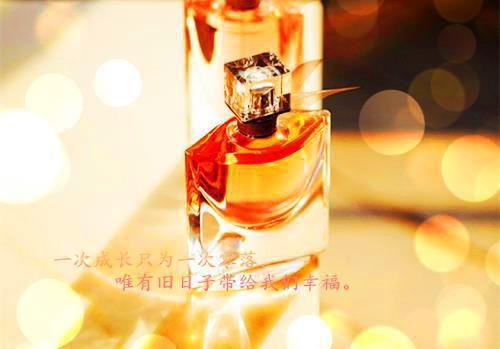 奋斗正能量句子简短霸气