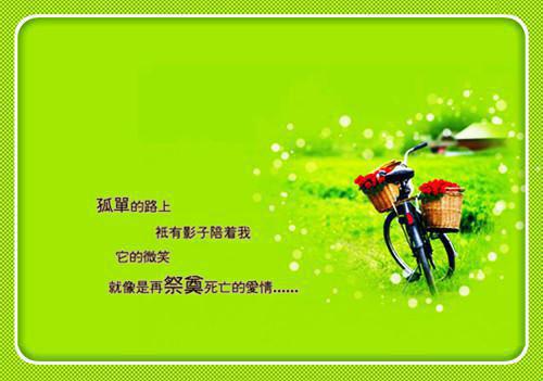 胆小爱财人还怂，吃瓜摆烂乐哈哈畅销小说楚寻谢玉安热门小说完整版阅读
