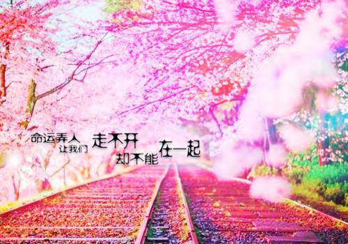 人在南宋:开局从小捕快做起最新章节列表_人在南宋:开局从小捕快做起全文免费阅读(沈墨陆云鬟)