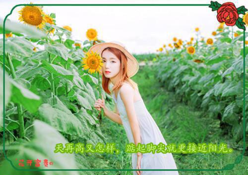 (番外)+(结局)林妍傅璟(云本无心风起意：全文+结局+番外)全文免费阅读无弹窗大结局_(林妍傅璟)最新章节列表(云本无心风起意：全文+结局+番外)