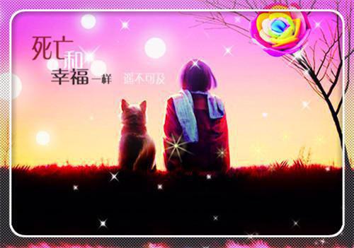 正能量人生感悟的句子朋友圈