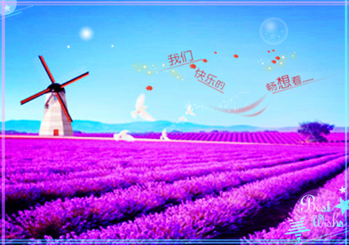 有关花和爱情的唯美句子大全
