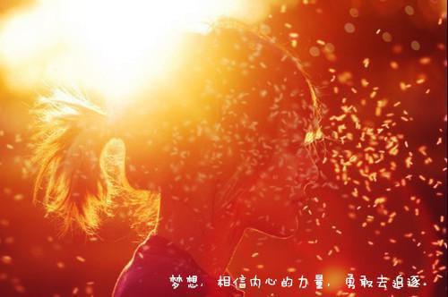 无限掉马免费阅读 夜挽澜周贺尘最新章节更新