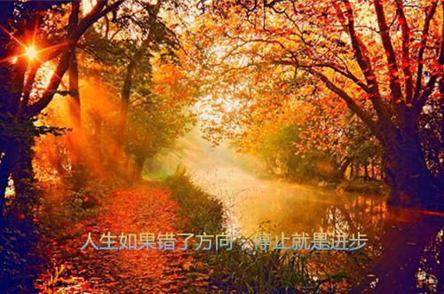 乐米重缘（温言陈延徐凯）全文浏览_乐米重缘全文浏览