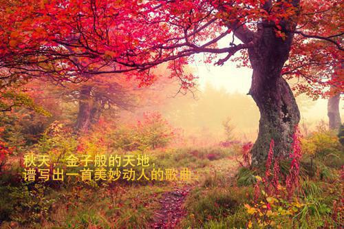 楚意欢燕君凛佚名全文小说免费阅读