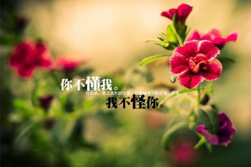 正能量句子夜晚失眠