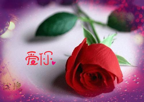 官道之权势滔天（林峰宁欣）已完结，官道之权势滔天已完结