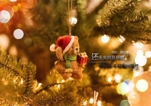 言情全文小说退婚渣男:带球进侯府被日日娇宠完结版精彩阅读