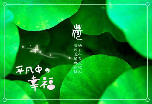 萧岑也贺川年阅读_萧岑也贺川年言情小说全文阅读