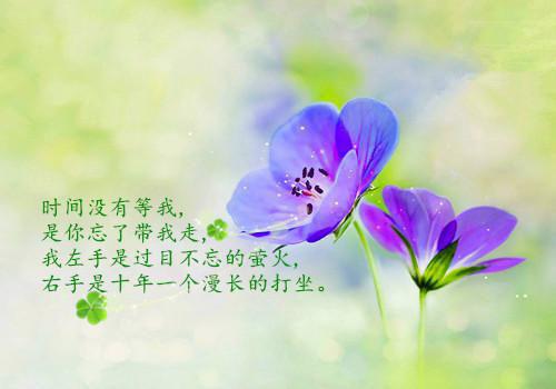 搞笑早安正能量句子和图片带字图片大全