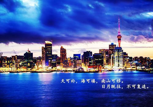 完结版小说情感纠葛闻香识美全全文免费阅读