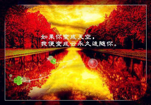 小说林酒江添陆心喜第6章精选阅读