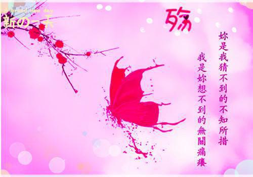 闺蜜抢我一切，我让她惨烈奉还！热门小说（宋婉之吴海）免费试读