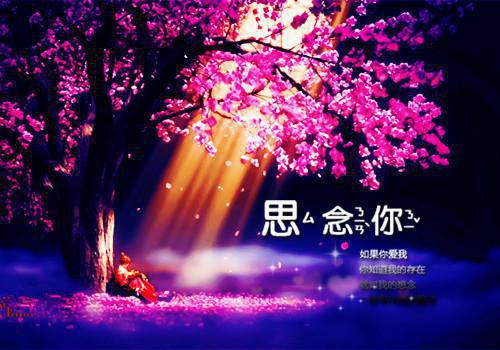 谁与你白头成眷/与你相遇多欢喜：完结（沈意欢陆沉舟）全文免费阅读_谁与你白头成眷/与你相遇多欢喜：完结（沈意欢陆沉舟）最新章节列表