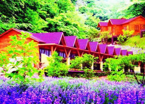 林嘉礼林宗泽全文免费阅读（嫁给京圈太子他爸小说）全文免费林嘉礼林宗泽读无弹窗大结局_林嘉礼林宗泽全文免费林嘉礼林宗泽读（嫁给京圈太子他爸小说）最新章节列表（林嘉礼林宗泽）