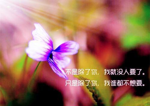 最新章节我捡到的男人不仅长的帅还会打猎做文章实力派（傅庭生夕夕）_我捡到的男人不仅长的帅还会打猎做文章实力派傅庭生夕夕最新章节