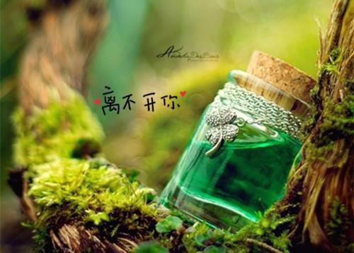 苏小疑霍衍苏小疑霍衍小说最新章节免费阅读