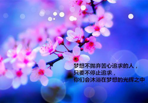 人生感悟正能量悲伤的句子图片