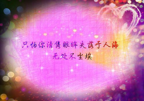 我死后，他独自看落雪佚名小说章节阅读