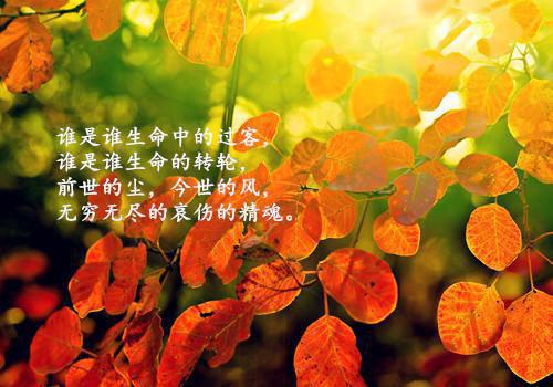 完结版小说玄武：臣本麻衣，成了天下锦绣霸主第3章阅读