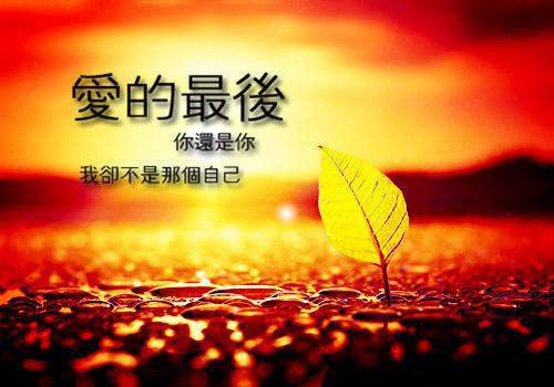 积极向上正能量的优美句子励志