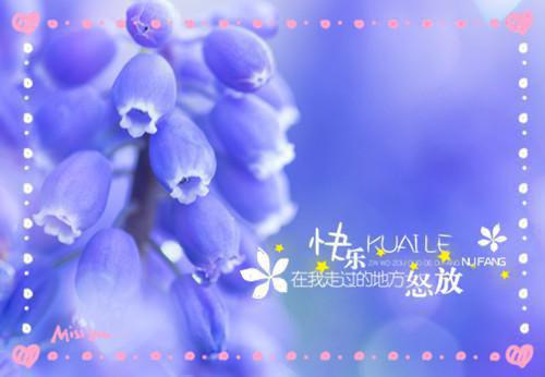 小说陨落的星辰第3章的小说免费阅读