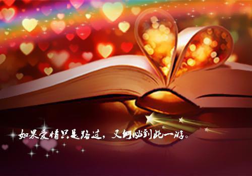 古风句子不要爱情的