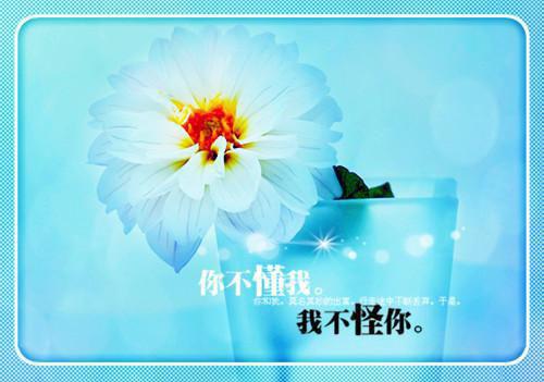 创作出彩每天一次死亡经历安乐阮潇最新章节精彩试读