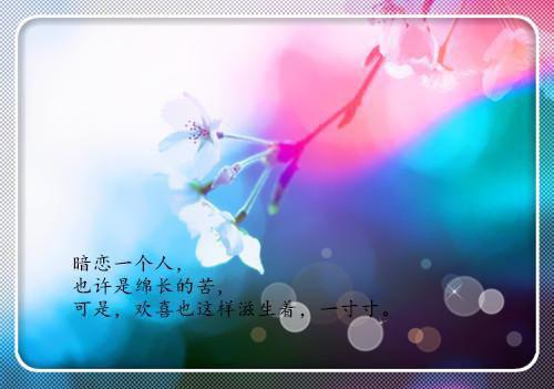 (番外)+(全文)凌子一短篇小说：全文+后续（沈清禾裴川）全文免费阅读无弹窗大结局_凌子一短篇小说：全文+后续最新章节列表凌子一短篇小说：全文+后续