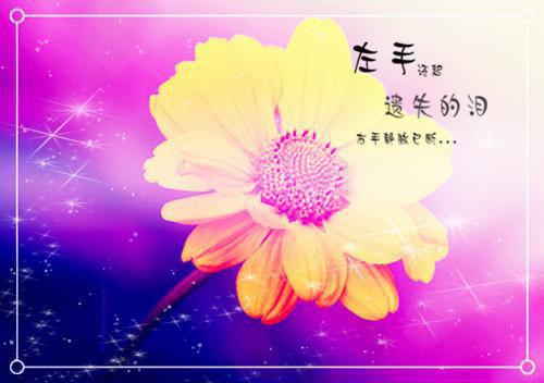 苏韵寒冷墨冷墨苏韵寒小说免费小说全章节阅读