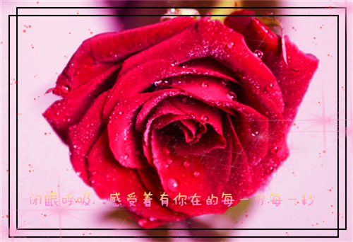温暖温柔好句的正能量句子