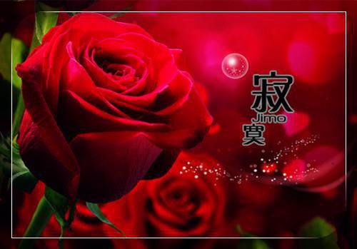 小说被恶毒闺蜜捅刀子后方宁张雨欣完结版全文免费阅读