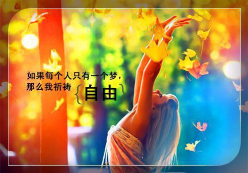 全本小说李初夏徐黎景徐黎景,那辈,陈叔全文免费阅读