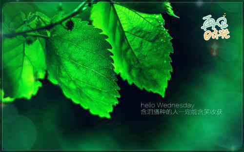 作者为风羽的小说老婆一家欺辱我，我只好化虚成神压压惊阅读