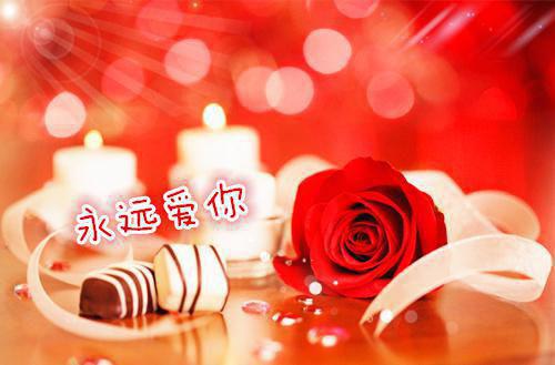 都市小说纵然爱如烟火章节目录阅读