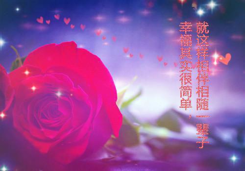 新书七点零五分齐菲余磊完结版全章节阅读