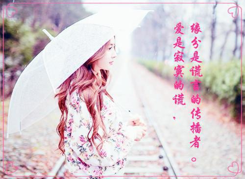 《陶江兮卫云廷》陶江兮卫云廷（大结局小说全集完整版）陶江兮卫云廷全文阅读