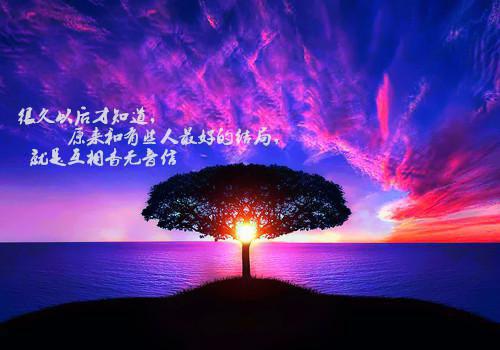 宝藏文穿成恶毒亲娘后，我成了将军娇宠完结版小说_云舒顾临渊全文阅读