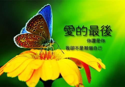 重生后，我造光刻机吓哭米国全文阅读_许文尧陈慧茹小说免费试读