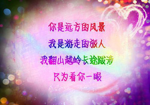 宁安顾言棠全章节_当了7年替身后，我要死了小说阅读