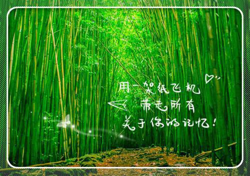 温暖的句子正能量