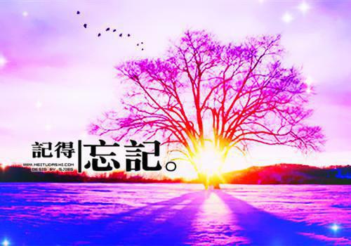 独家小说《一别经年曲已散：全文+后续》楚佑寒叶秋漓全文免费阅读无弹窗_楚佑寒叶秋漓最新小说无广告（一别经年曲已散：全文+后续）