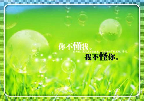 拧动故事发条的小说在线品鉴港片：起步督察，警界超新星方觉夏阮梅全文在线阅读