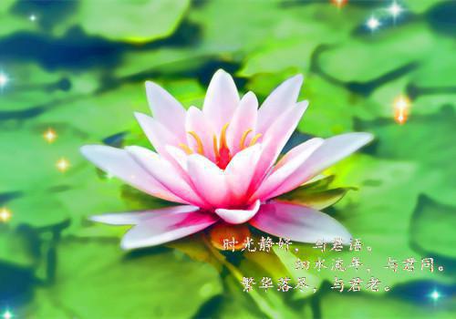 火爆小说虞黎燕时衡免费阅读