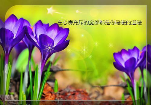 蓝溪范青煜小说全文免费阅读_蓝溪范青煜阅读