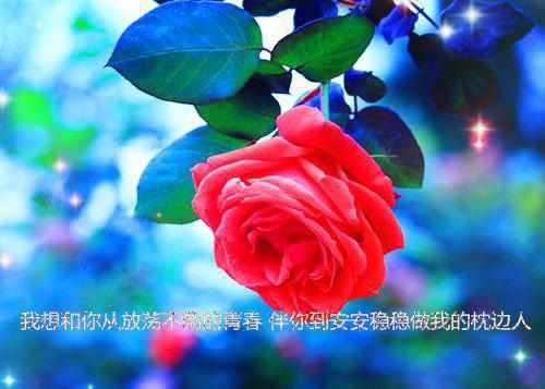 好听的qq分组名字有关爱情的句子