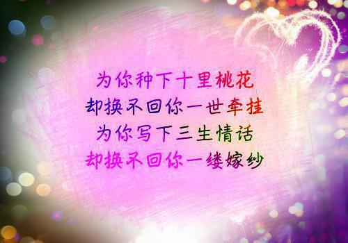 沈慕念贺锦南完整版小说_沈慕念贺锦南全文免费阅读